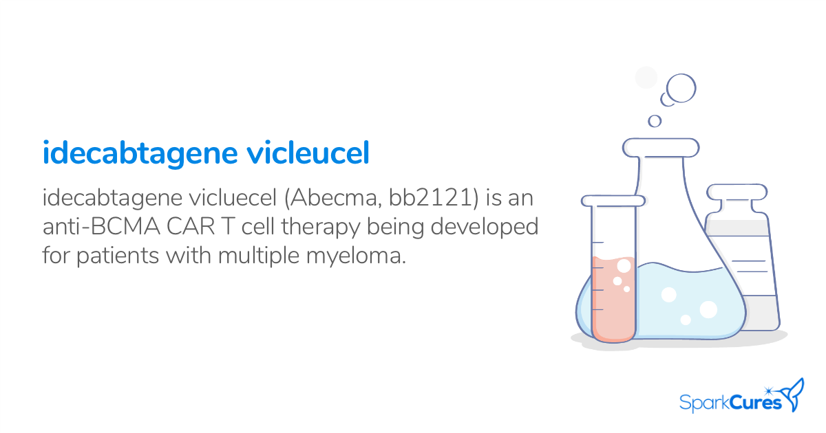 Idecabtagene Vicleucel Myeloma Trials